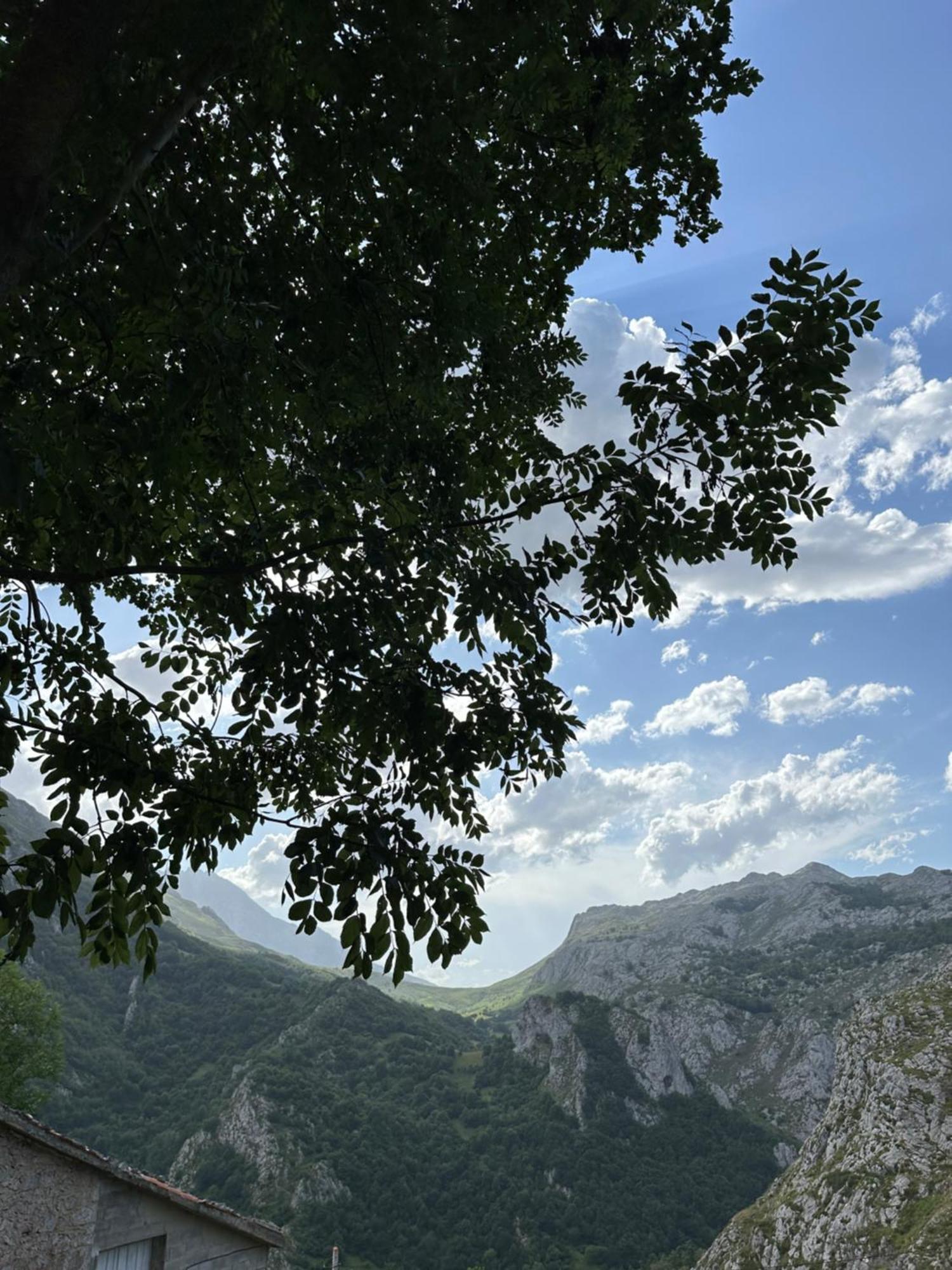 Albergue Pena Castil Sotres Bagian luar foto